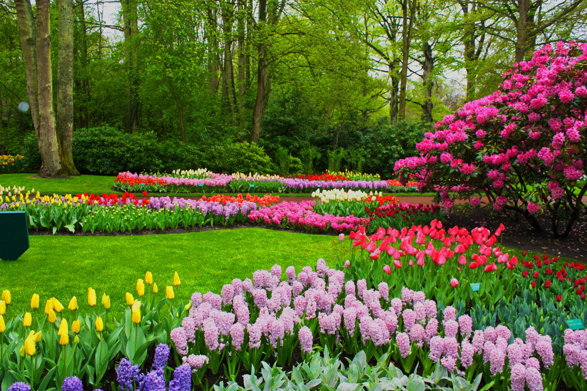 35 Beautiful SPRING Pictures and Wallpapers