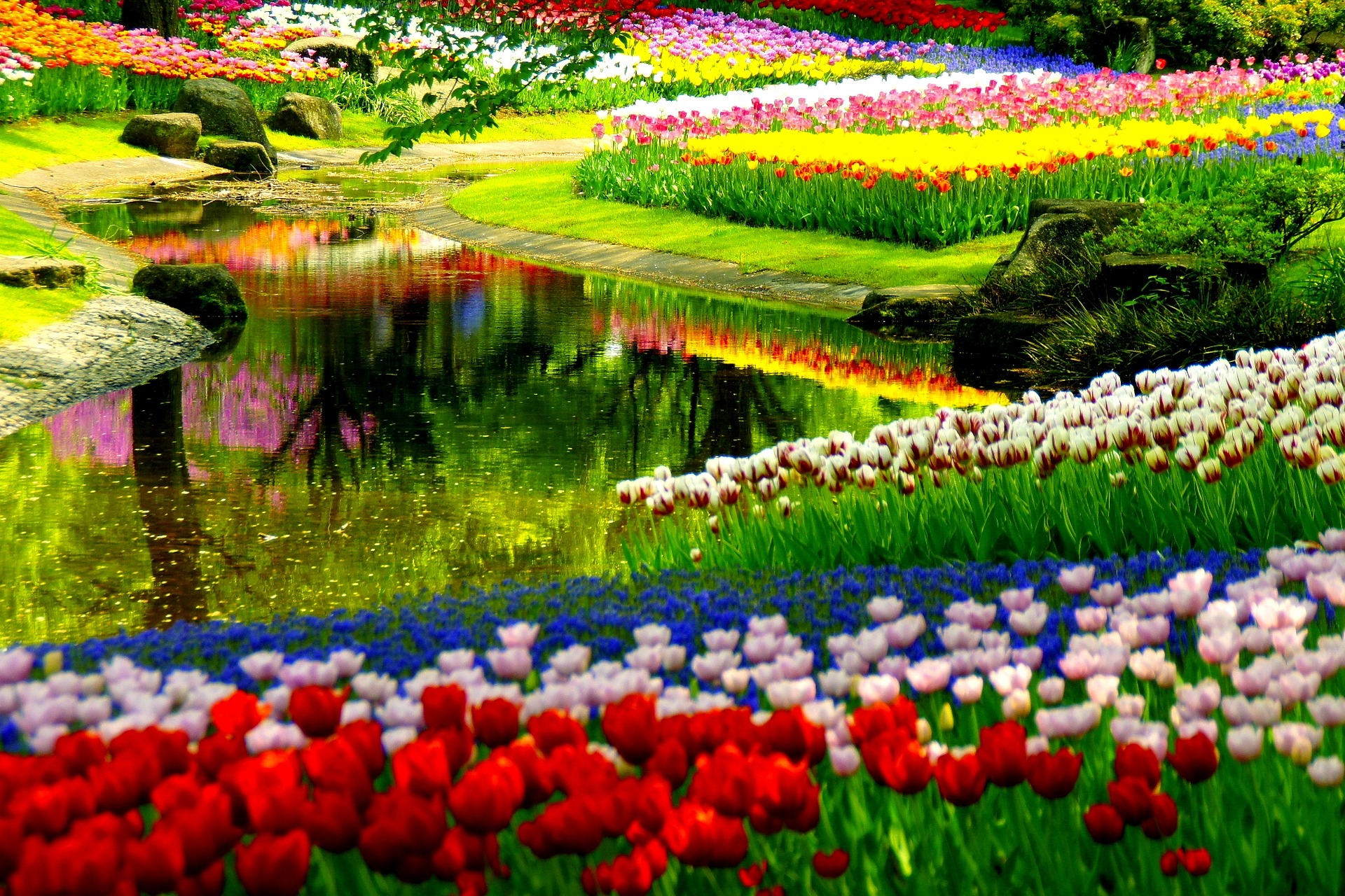 35 Beautiful Spring Pictures and Wallpapers