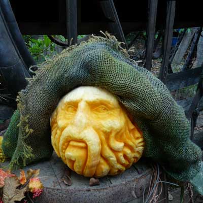 Pumpkin Carving Bill Nighy
