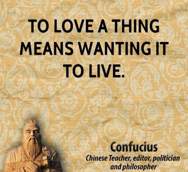 30 Most Famous Confucius Quotes And Sayings 6174