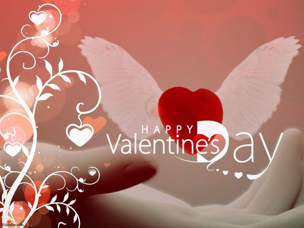 75 Happy Valentines Day Wallpapers and Backgrounds