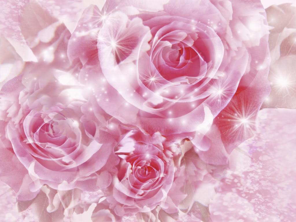 Three Pink Roses Wallpaper