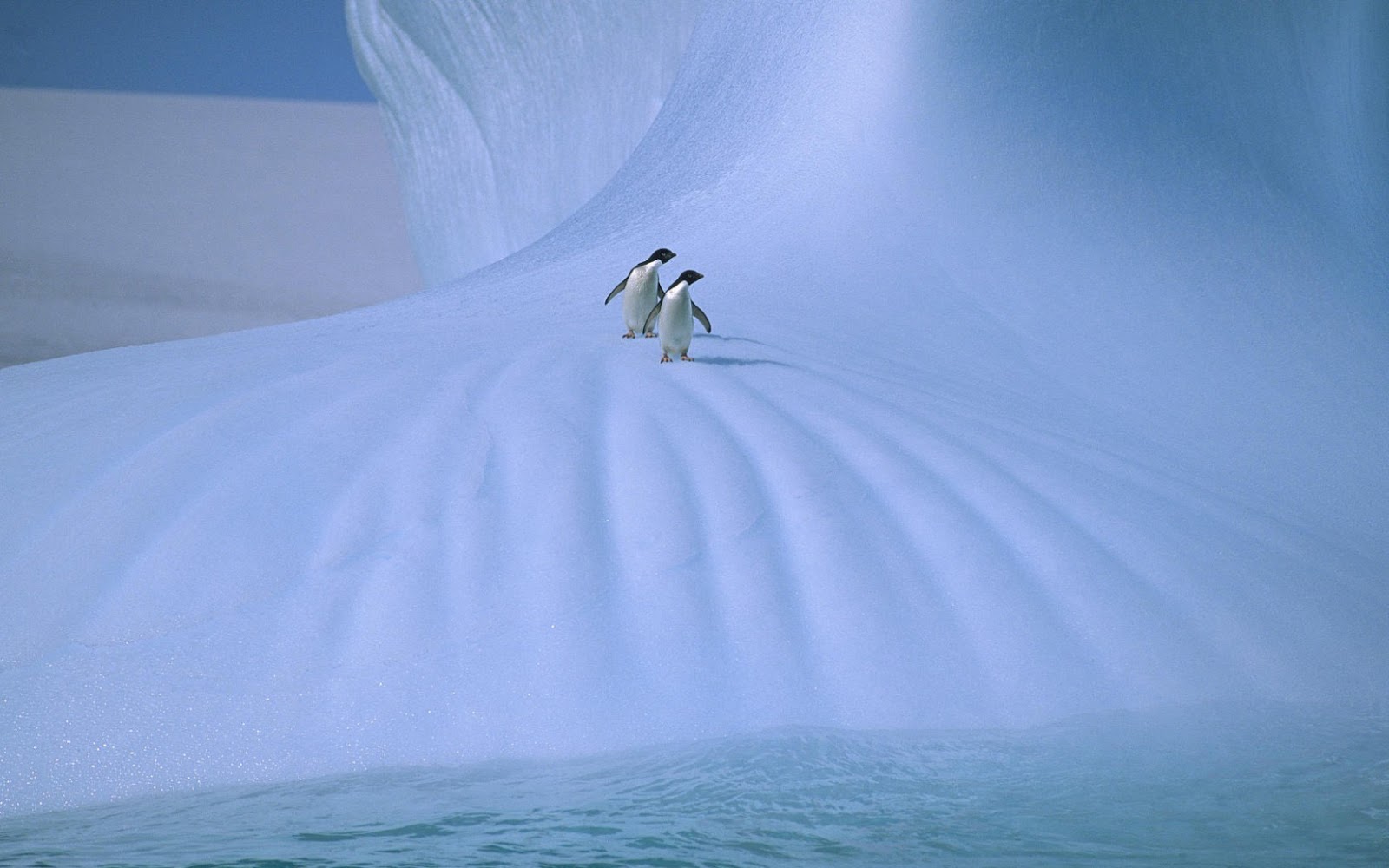 two penguins on snow