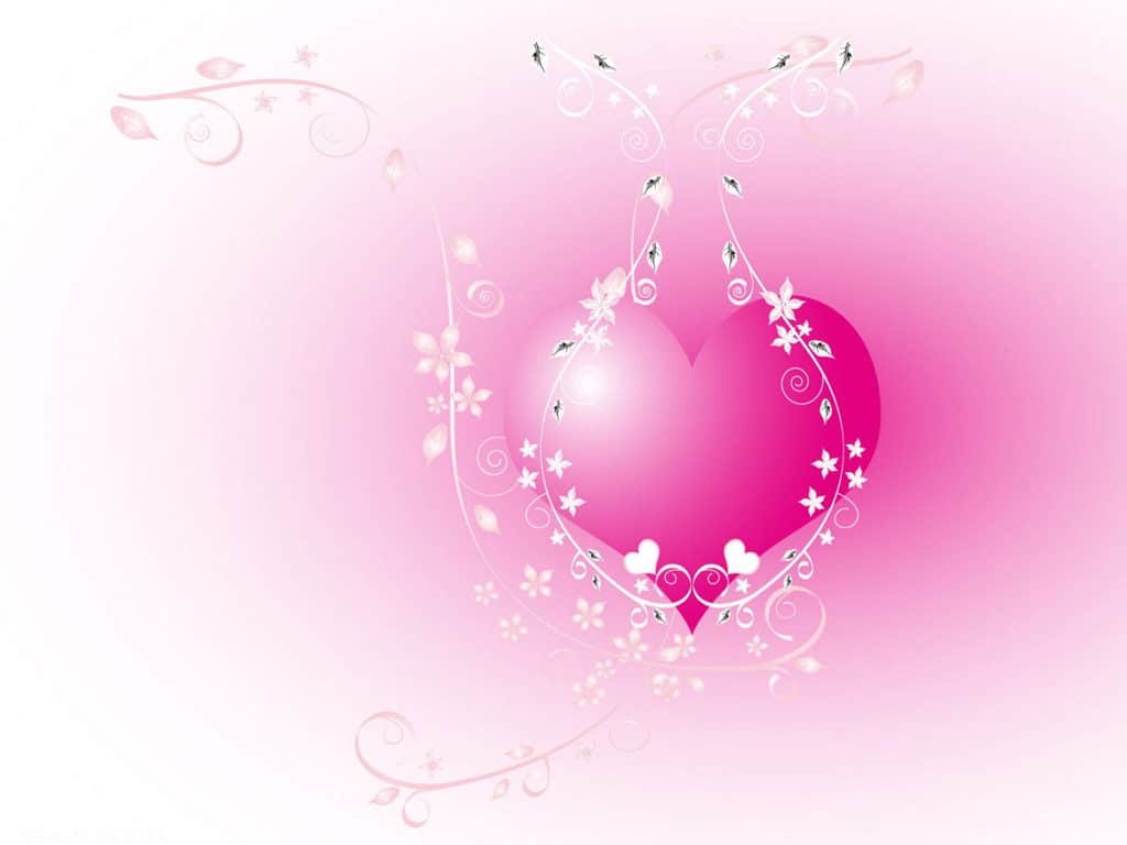 heart flower light pink wallpaper