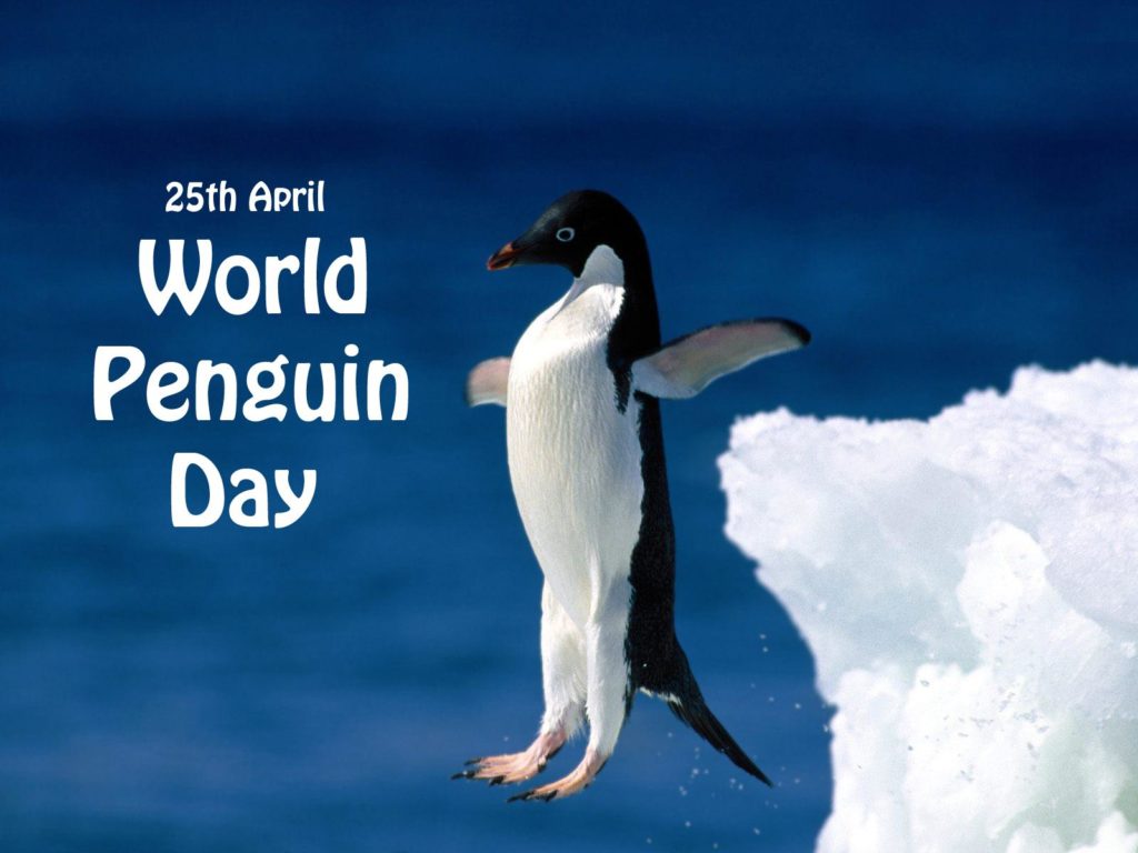 world penguin day 25 april