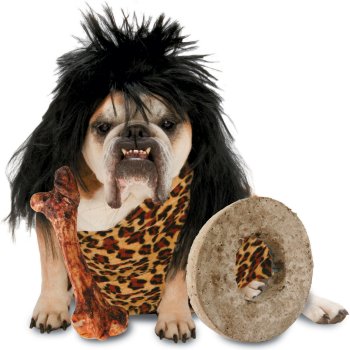 Best Dog Halloween Costumes