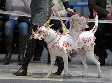 Dragon Dog Halloween Costumes