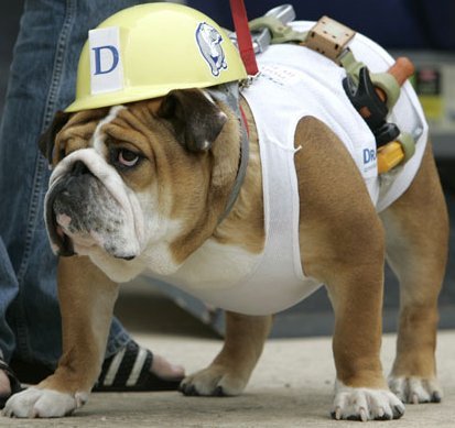 Plumber dogs halloween costumes