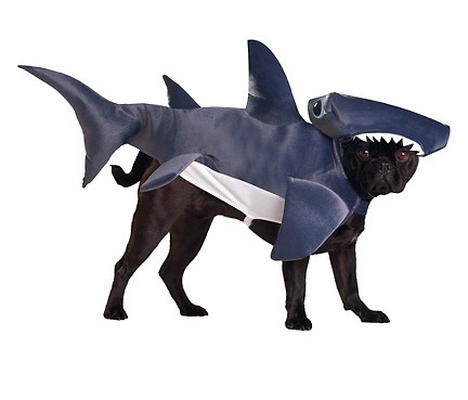 Shark dog halloween costume