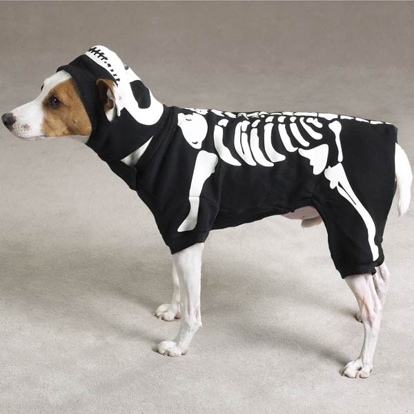 Skeleton Dog Costume