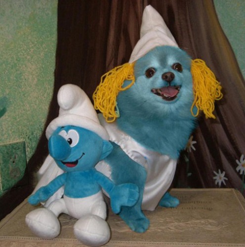 Smurf Dog Costumes