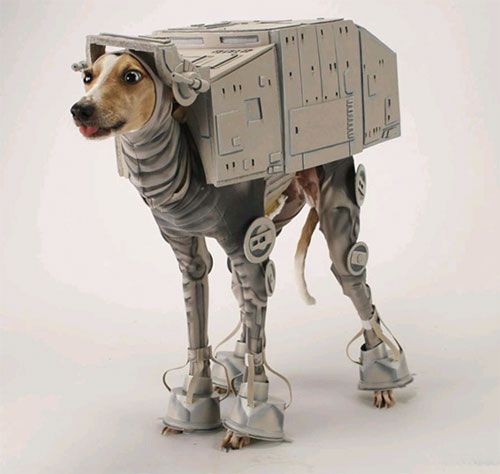 Star War Dog Halloween Costumes