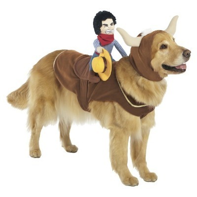 cowboy Dog costume