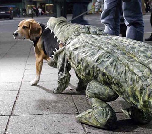 crocodile dog costumes