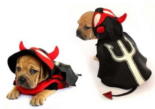 devil dog halloween costumes