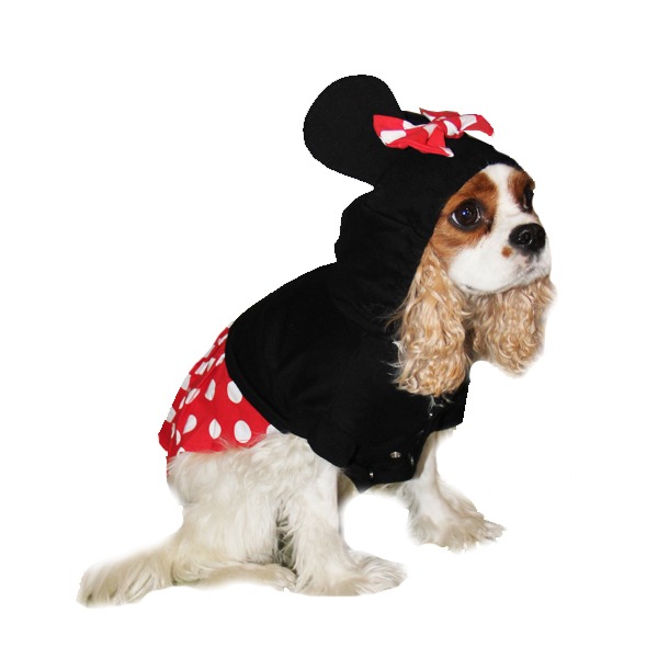 girl mouse dog costume