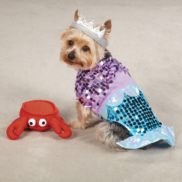 glimmermaid dog costume