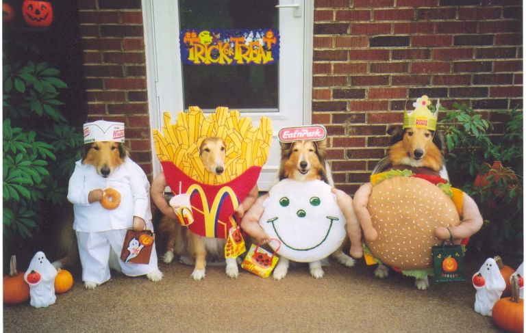 junk food dog costumes