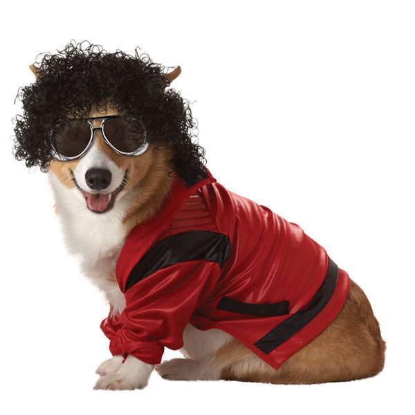 pop king dog costume