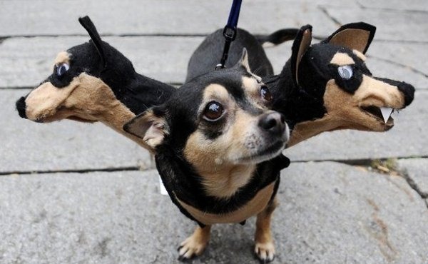 scary dog costumes