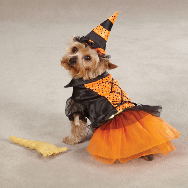 spellhound witch dog costume