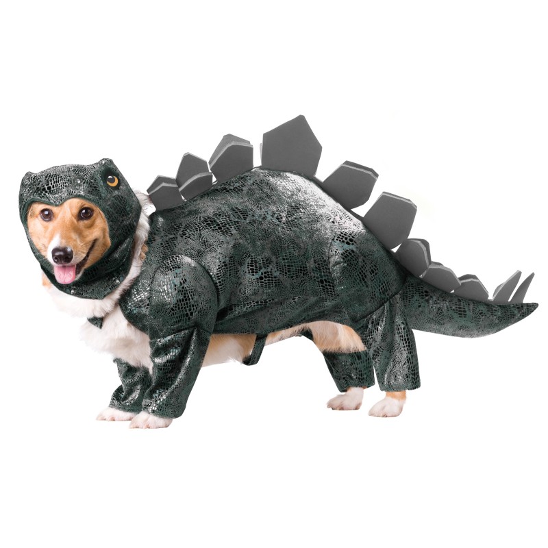 stegasaurus dog costume