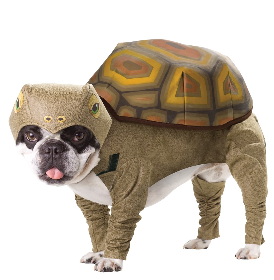 turtle dog costumes