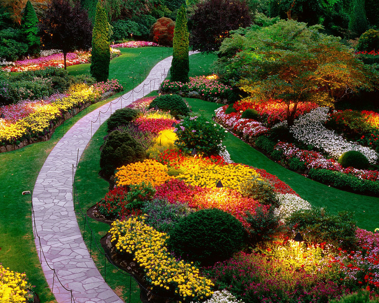 colorful flower beds