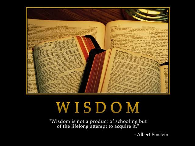 einstein wisdom quote