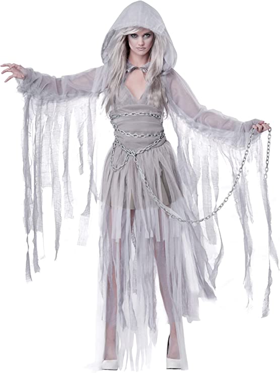 Haunting Beauty Costume