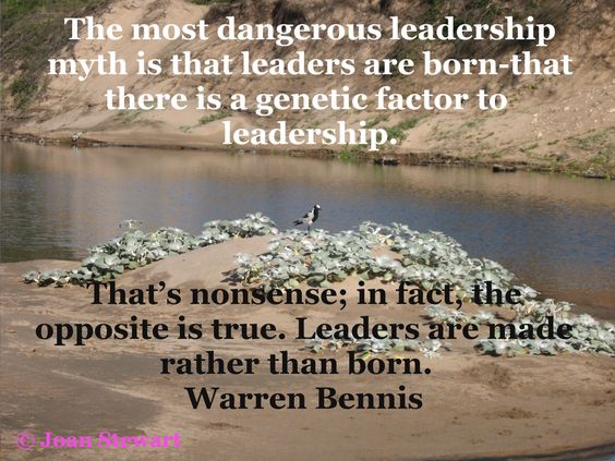 leaders are not born