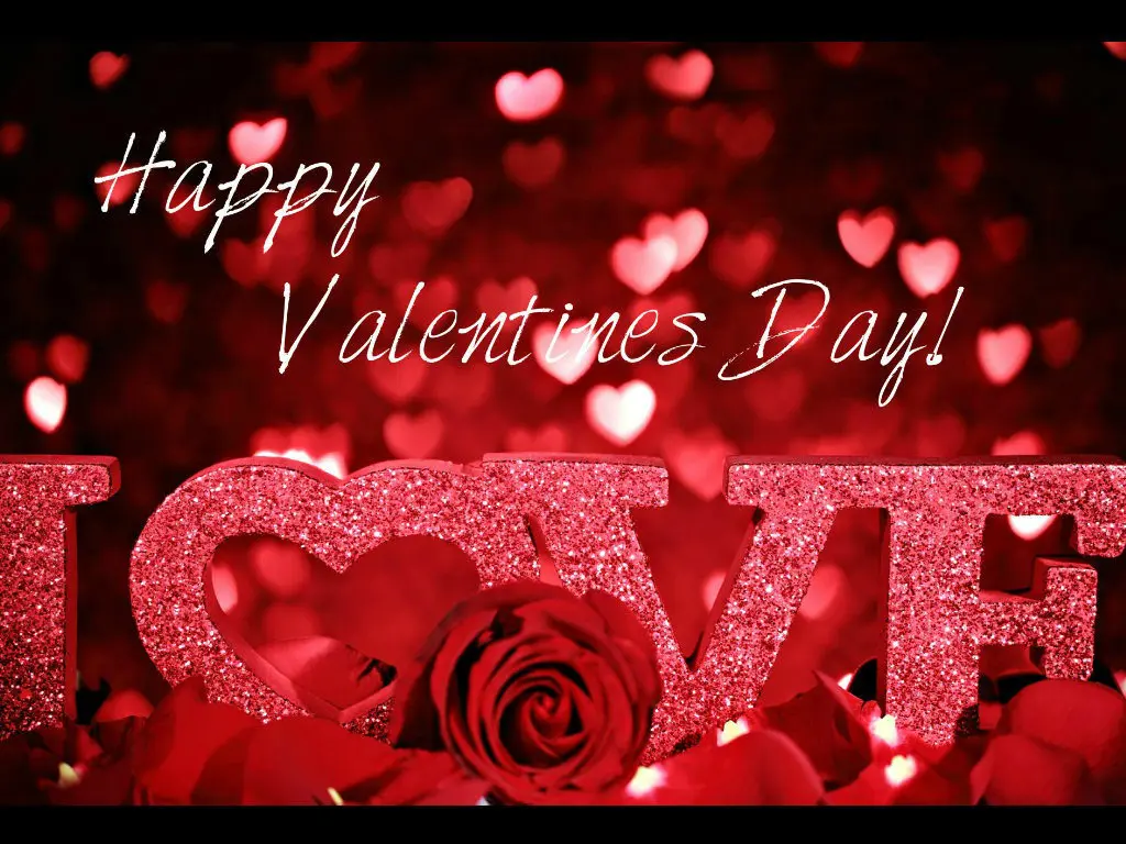 Happy Valentines Day backgrounds