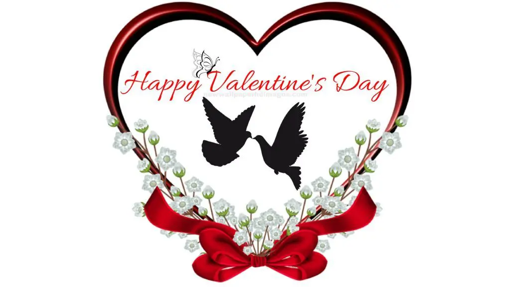 happy valentines day birds