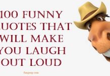 funny quotes hilarious sayings