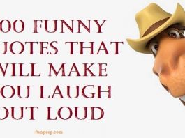 funny quotes hilarious sayings