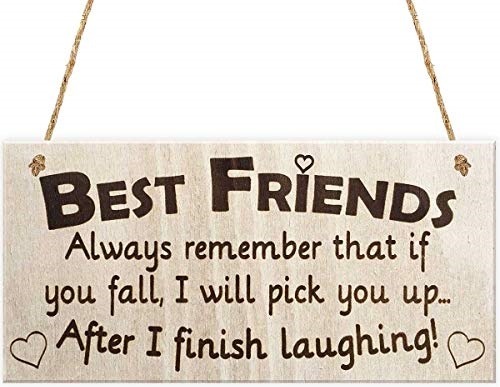 Funny best friends quote