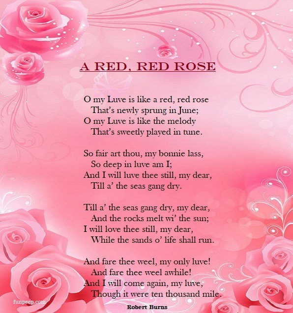 A Red Red Rose Love Poem