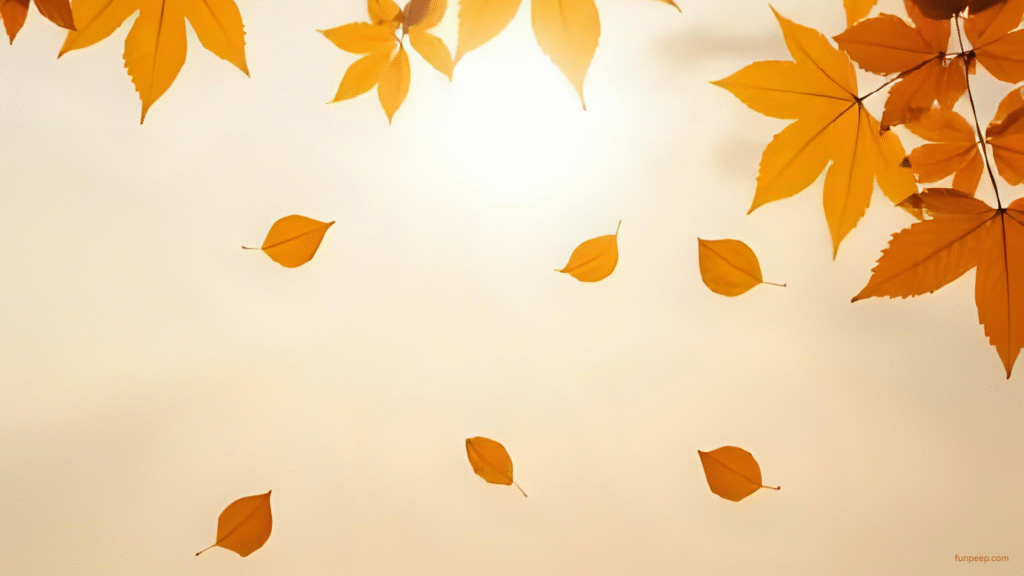 Autumn Minimalist Wallpaper