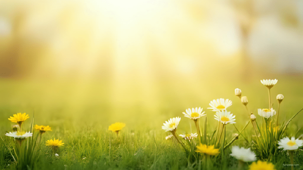 seasonal spring Minimalist Wallpaper